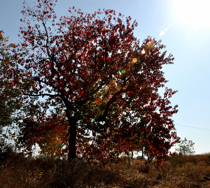 dsc_6670.jpg