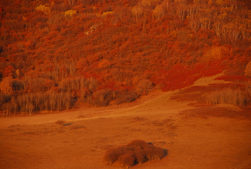 dsc_0427.jpg