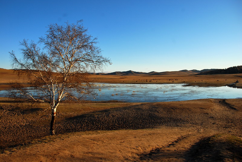 dsc_0476.jpg