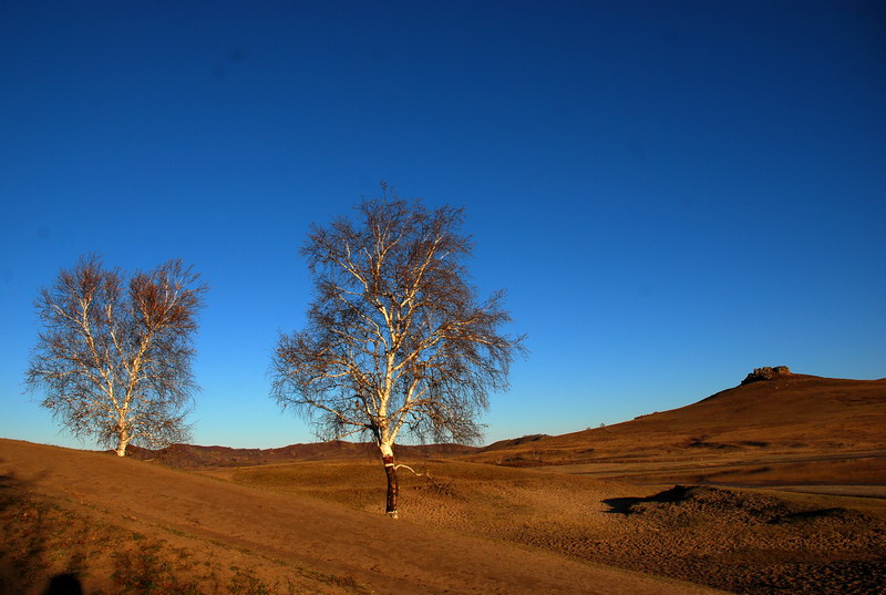 dsc_0479.jpg