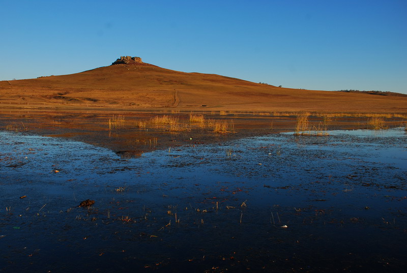dsc_0484.jpg