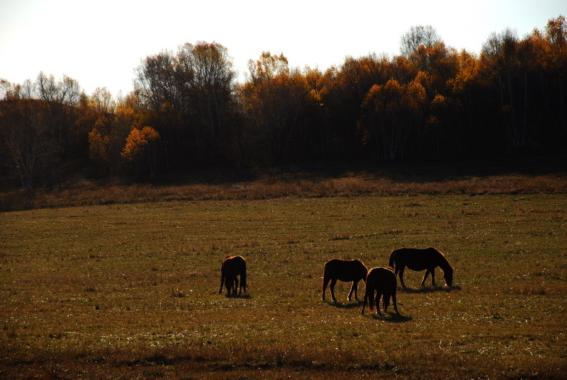 dsc_0548.jpg