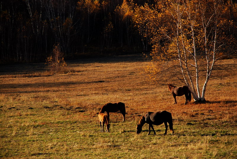 dsc_0550.jpg