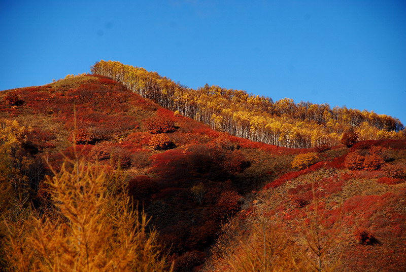 dsc_0588.jpg