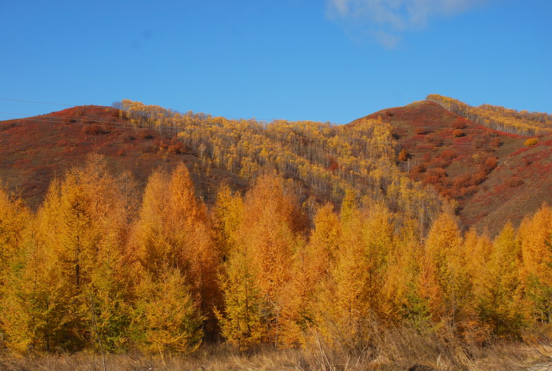 dsc_0589.jpg
