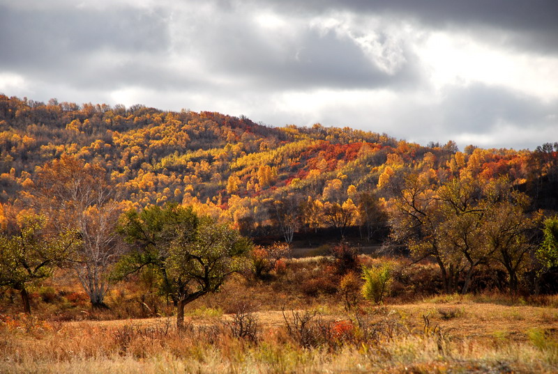 dsc_0620.jpg