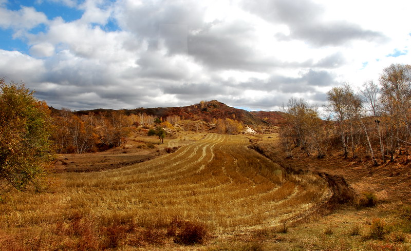 dsc_0623.jpg