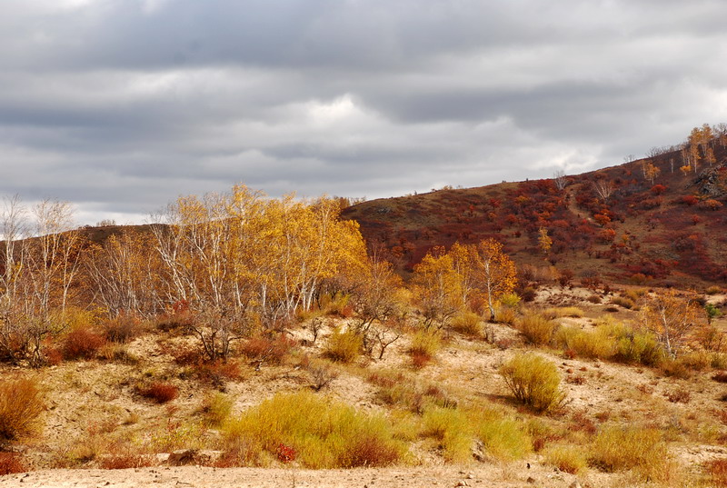 dsc_0624.jpg