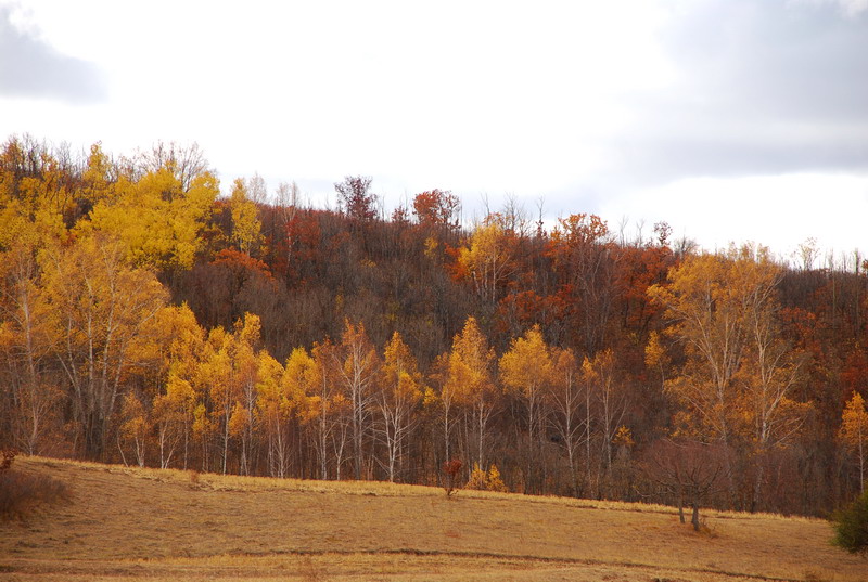 dsc_0636.jpg