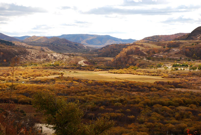 dsc_0647.jpg
