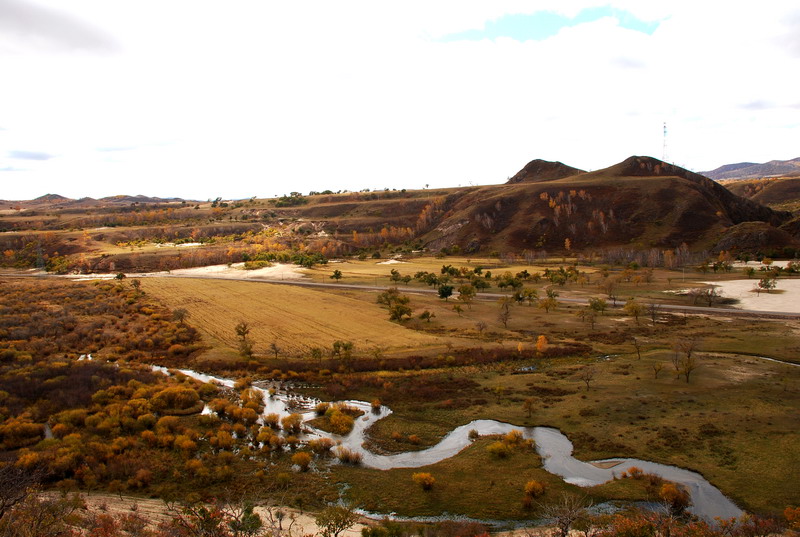 dsc_0649.jpg