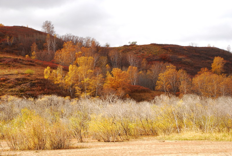 dsc_0668.jpg