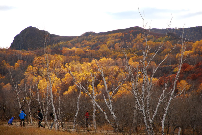 dsc_0674.jpg