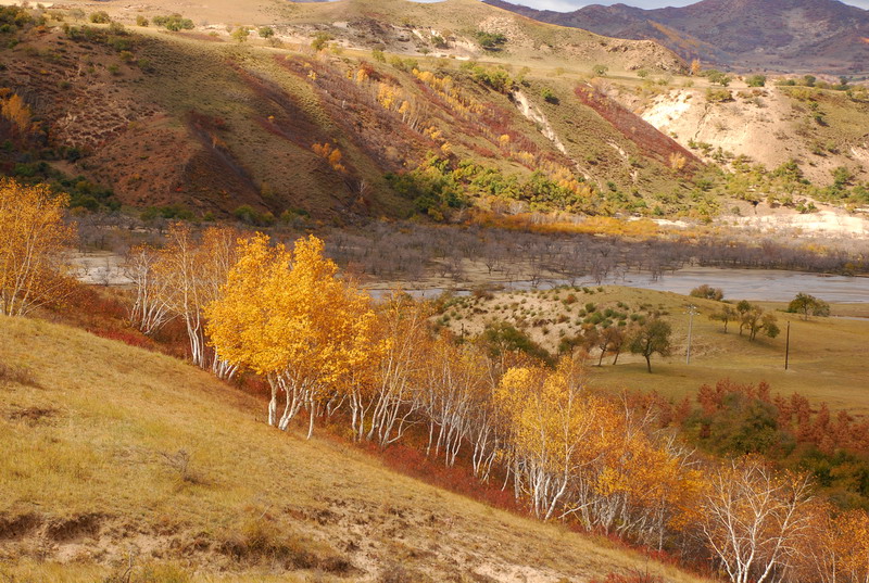 dsc_0656.jpg