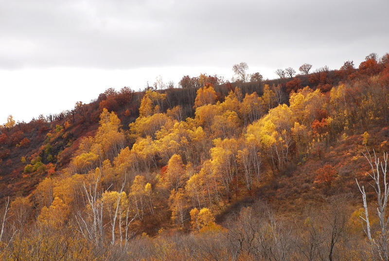 dsc_0683.jpg