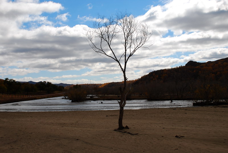 dsc_0697.jpg