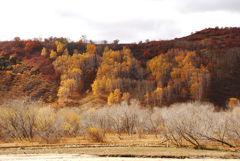 dsc_0719.jpg