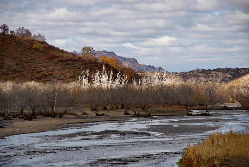 dsc_0722.jpg