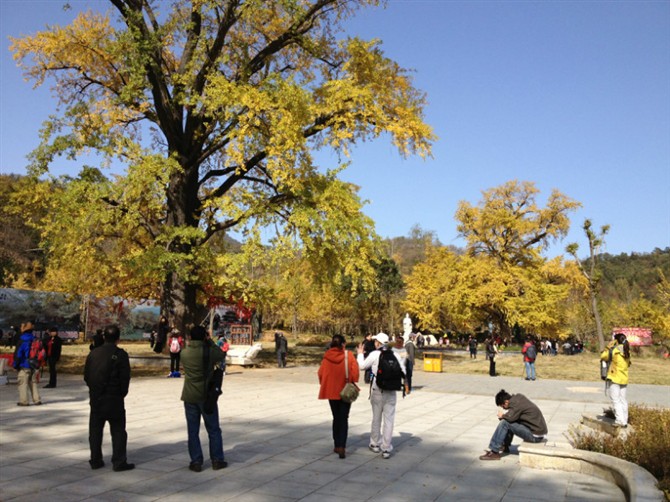 kk02.jpg
