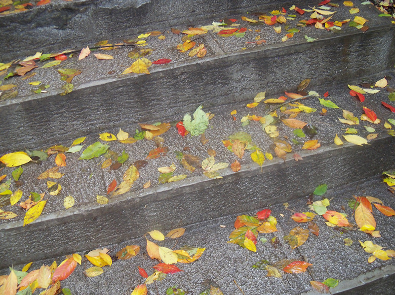 100_1054_.jpg