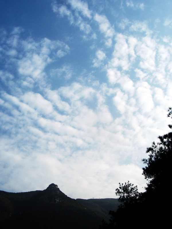 dscf0073.jpg