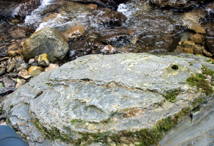 dsc_0134.jpg