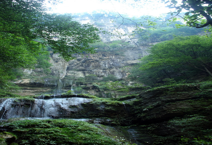 dsc_0136.jpg