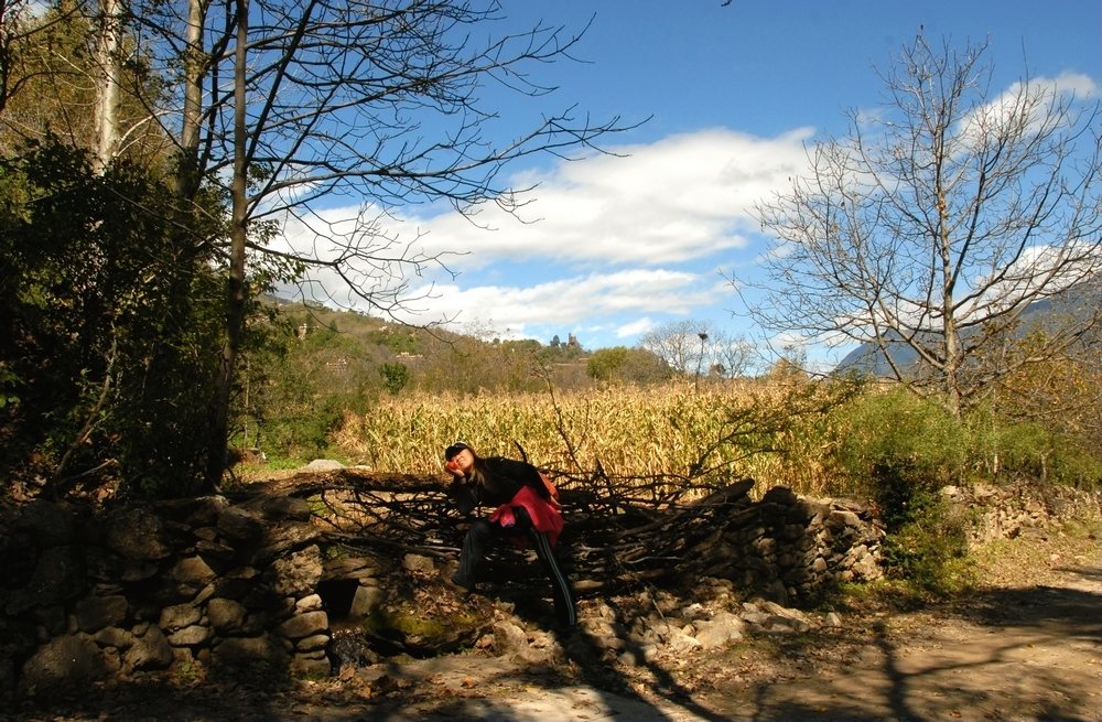 dsc_0195.jpg