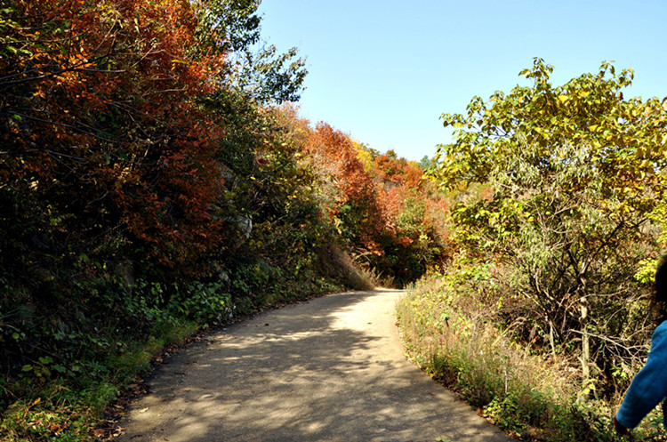 dsc_0049___.jpg