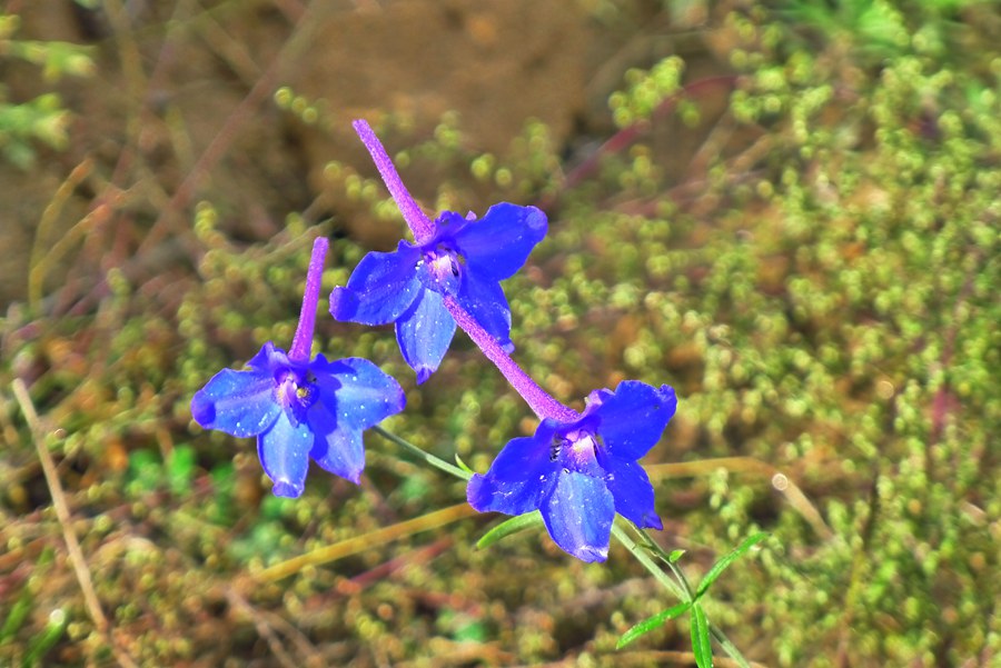 p1020341_副本.jpg