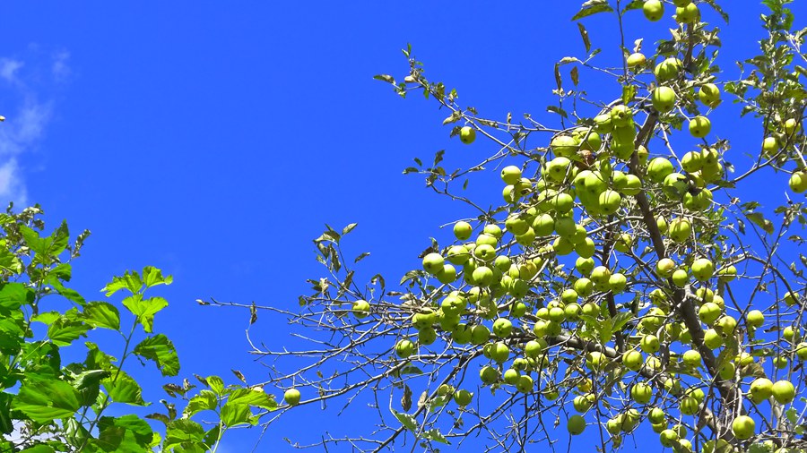 p1020395_副本.jpg