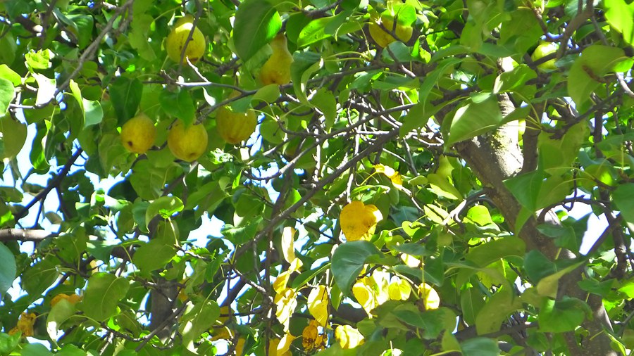 p1020440_副本.jpg