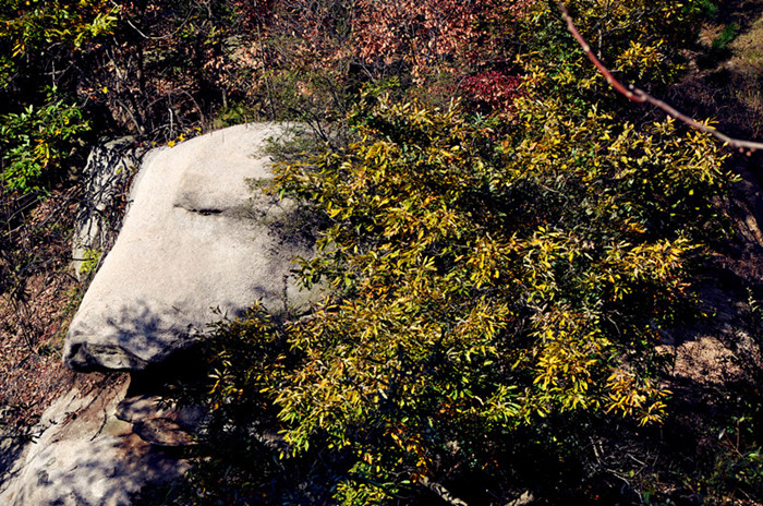 dsc_0169___.jpg