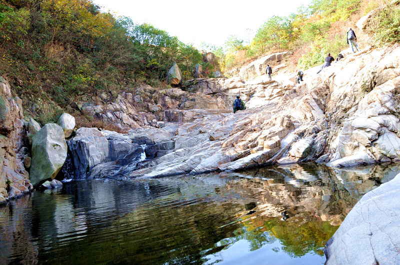 dsc_0090__.jpg