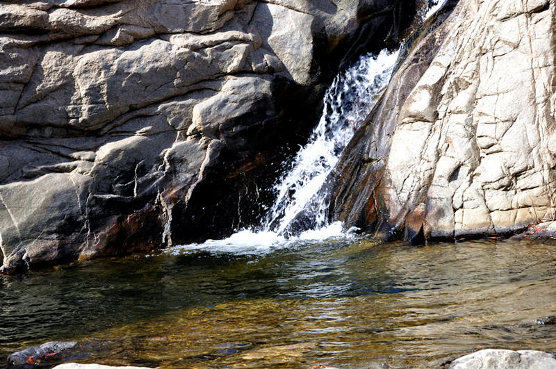 dsc_0093__.jpg