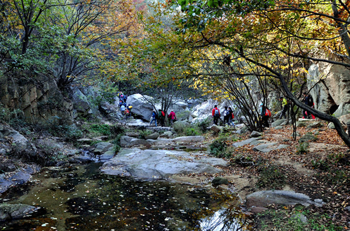 dsc_0172___.jpg