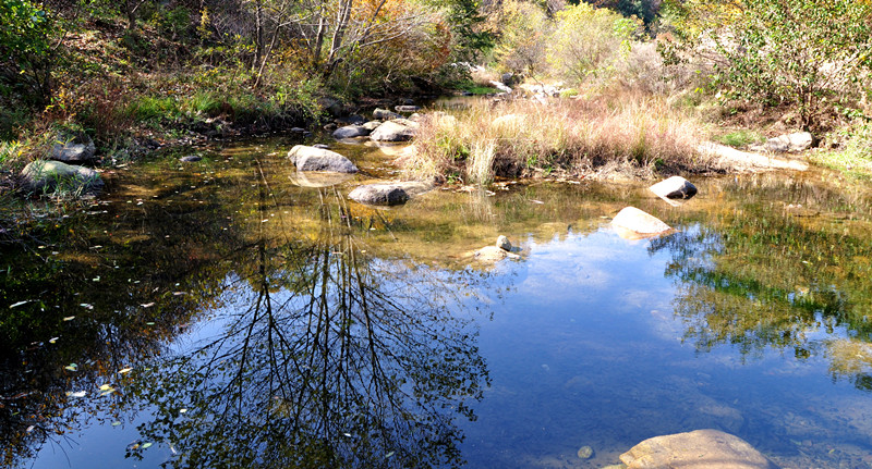 dsc_0126__.jpg