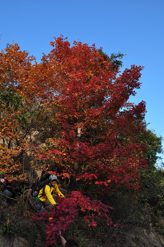 dsc_0235_.jpg