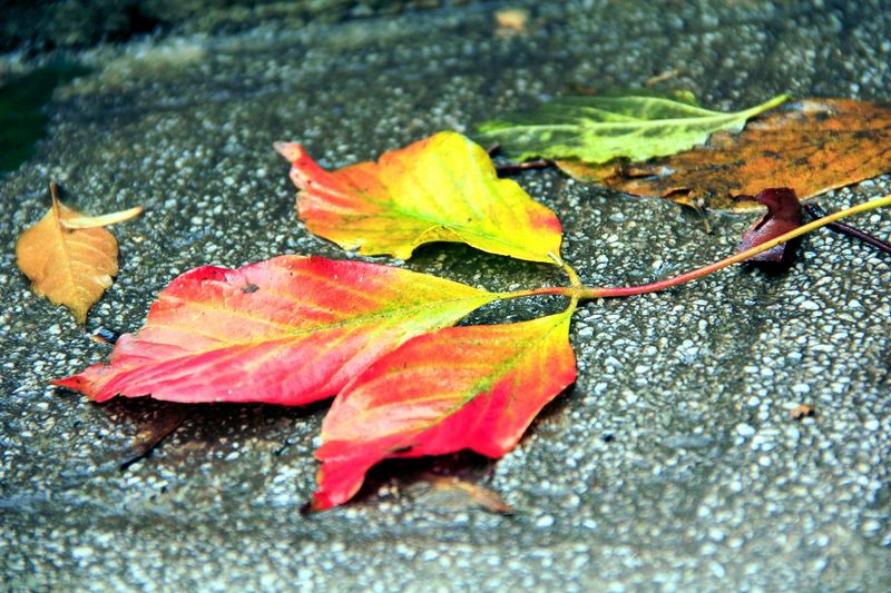 _mg_8782.jpg