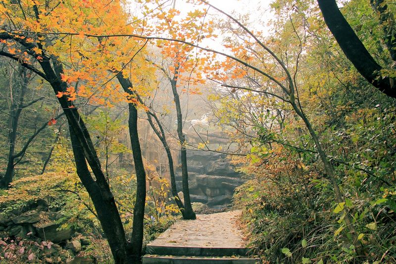 _mg_8823.jpg