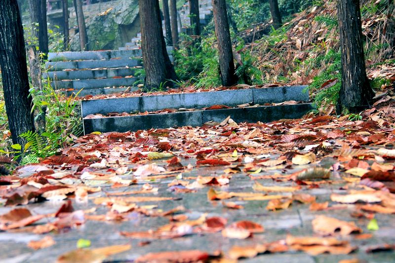 _mg_8892.jpg