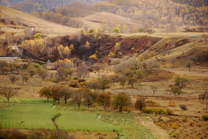 dsc_0901.jpg