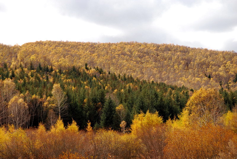 dsc_0957.jpg