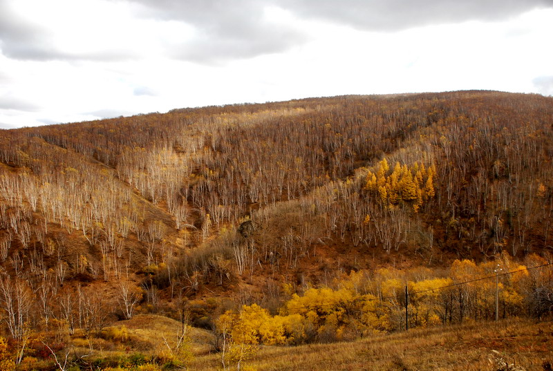 dsc_0983.jpg
