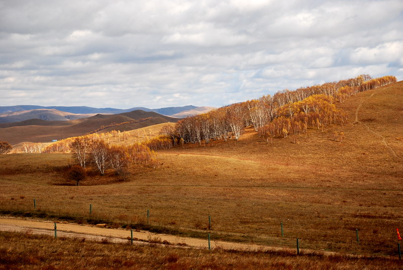 dsc_0999.jpg