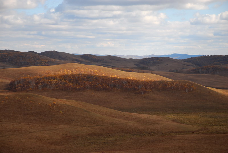 dsc_1013.jpg