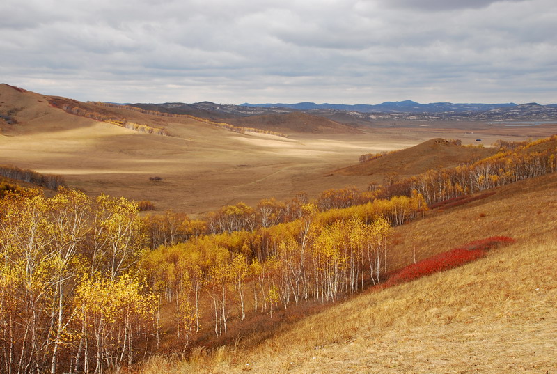 dsc_1036.jpg