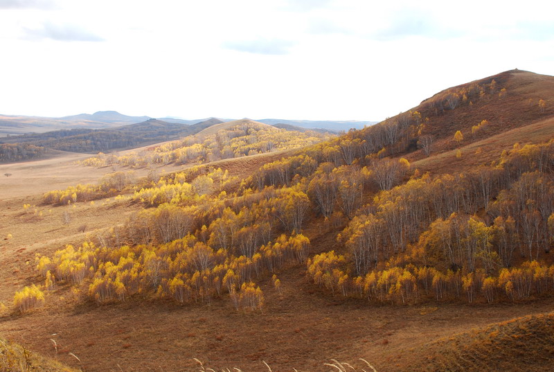 dsc_1040.jpg