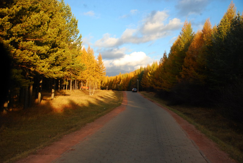 dsc_1115.jpg