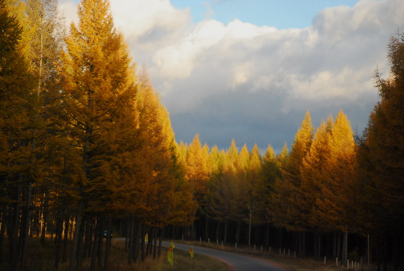 dsc_1121.jpg